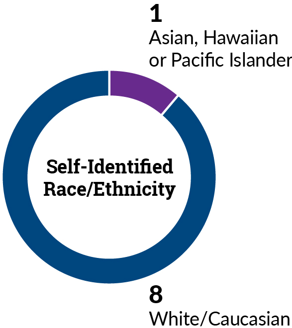 piechart_bod-glance_ethnicity.jpg